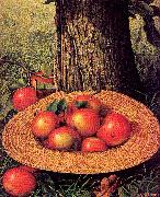 Prentice, Levi Wells Apples, Hat, and Tree USA oil painting reproduction